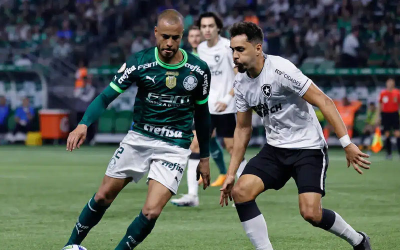 Thông tin trận đấu Botafogo RJ vs Palmeiras